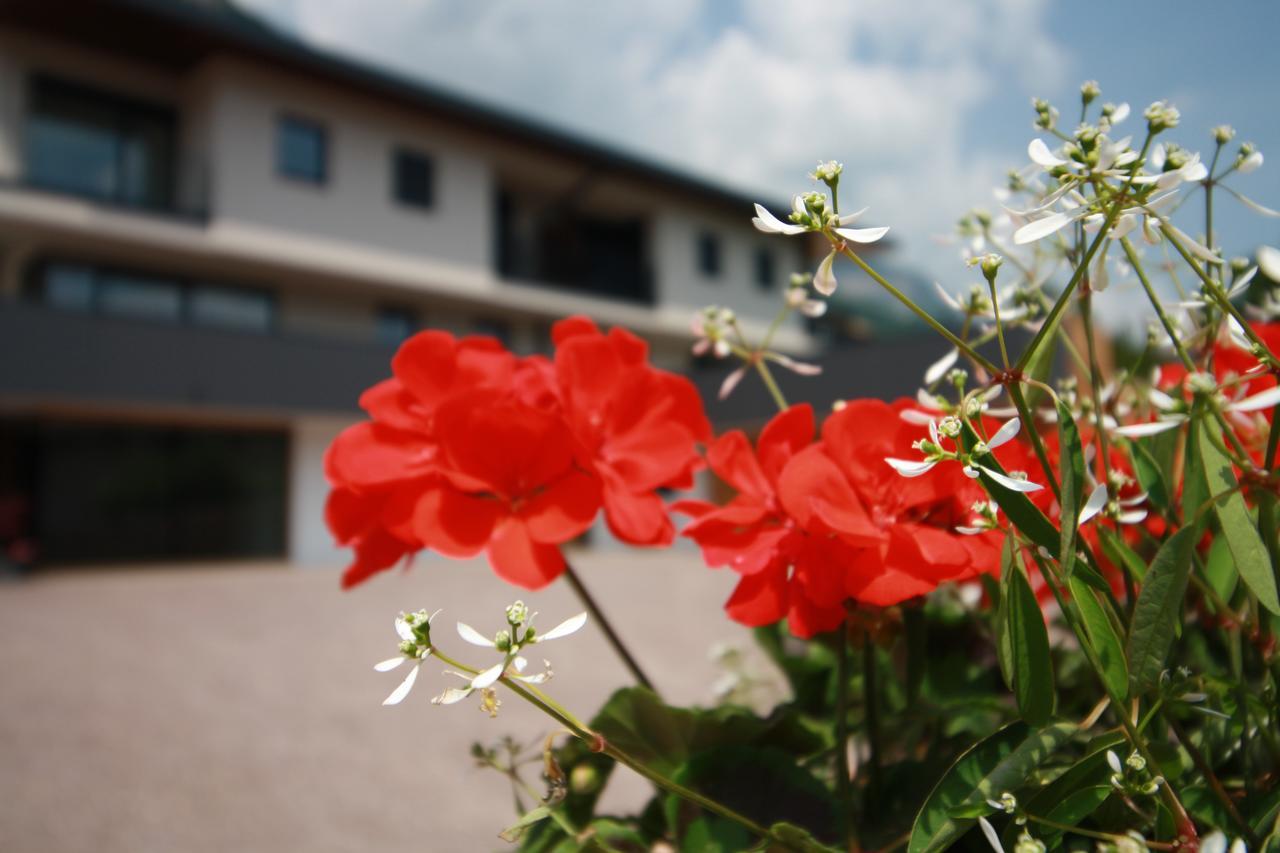 Tholr - Ferienwohnungen - Tramin Termeno Exterior photo